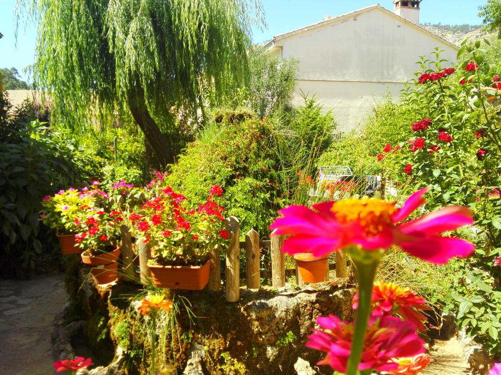 Pinos Apartment Arroyo Frio