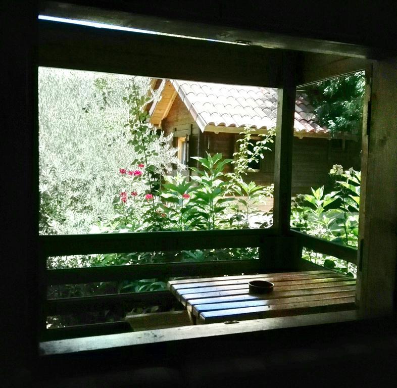 Pinos * Arroyo Frio