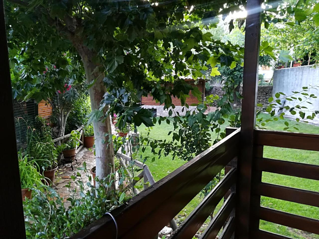 Pinos *