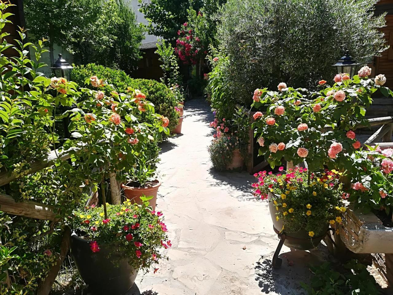 Apartment Pinos
