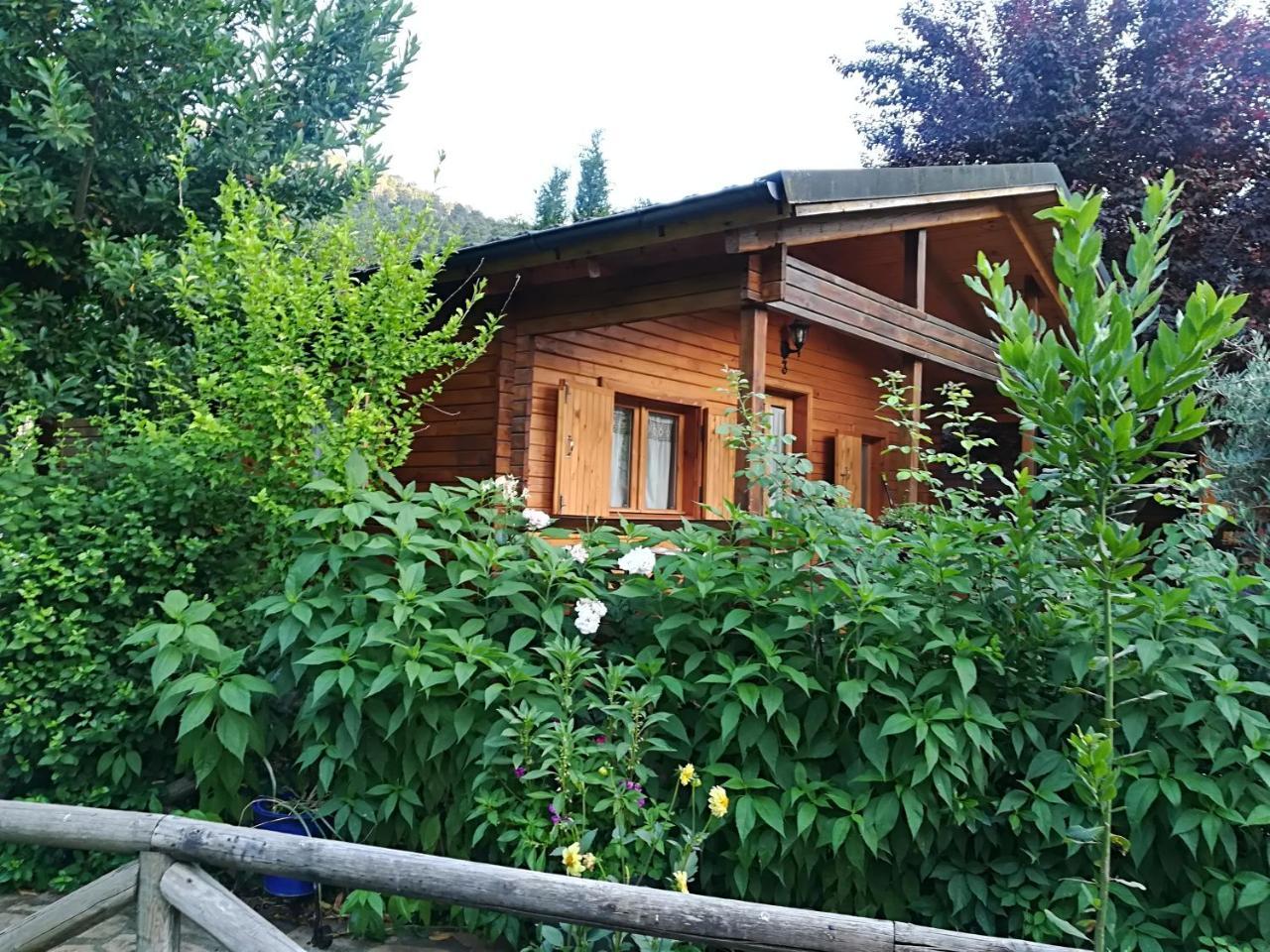 Pinos Apartment Arroyo Frio