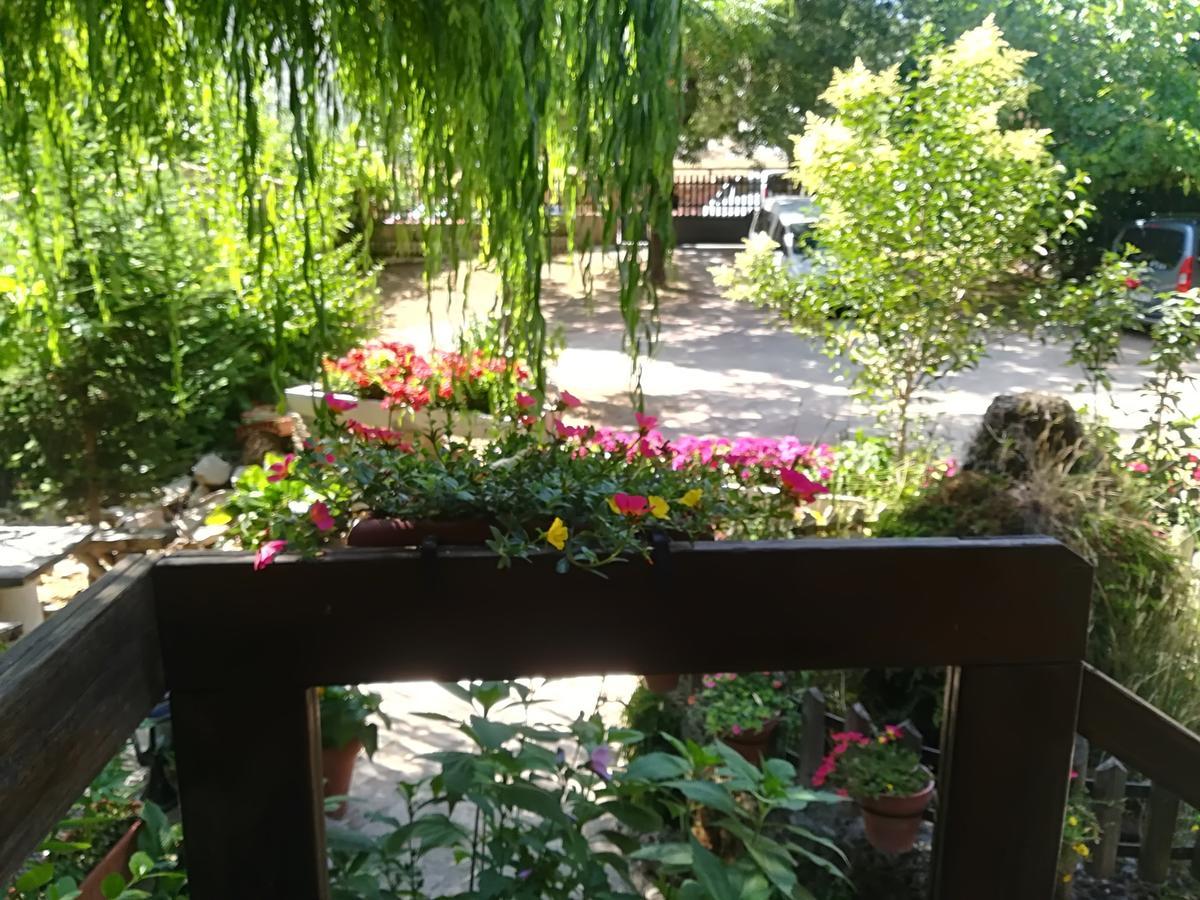 Pinos Apartment Arroyo Frio