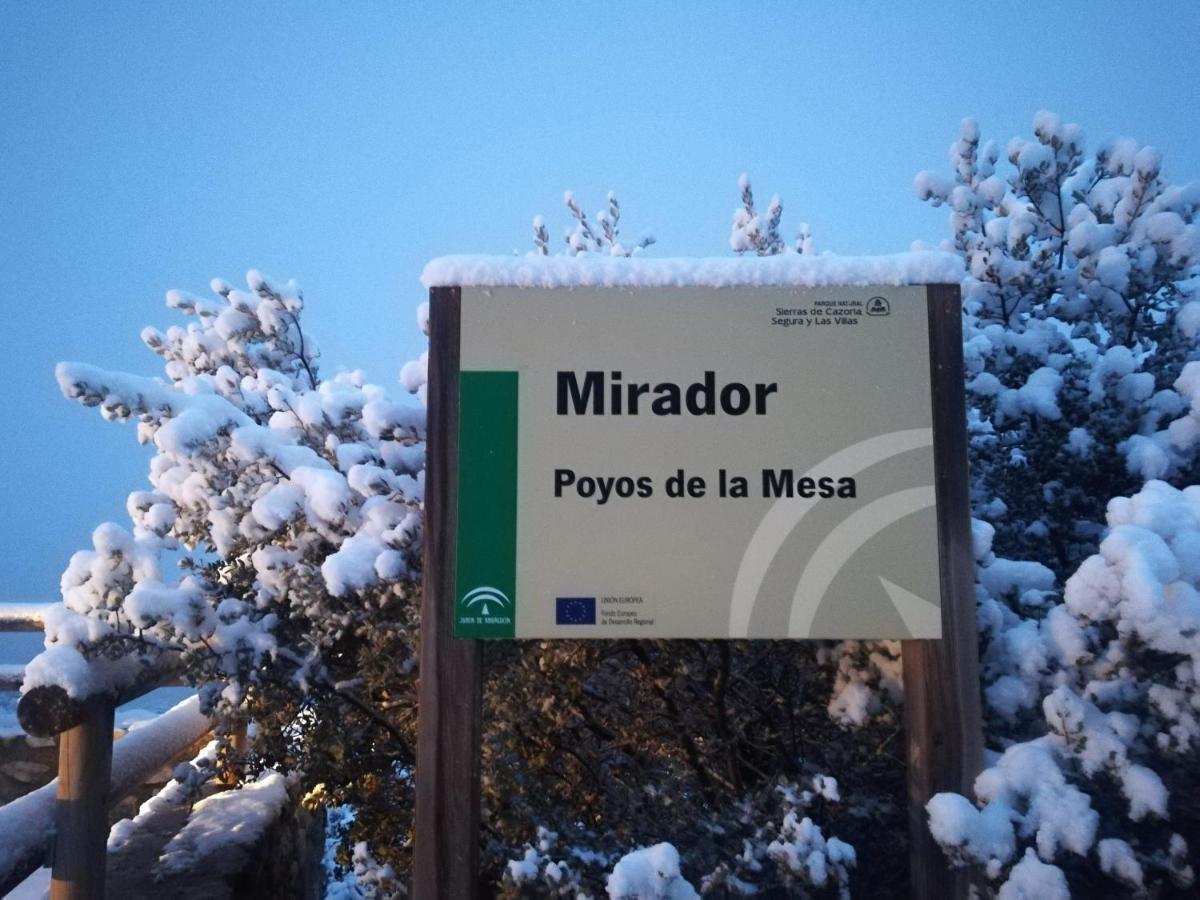 Pinos Arroyo Frio