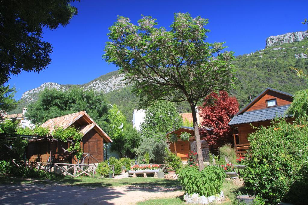 Pinos * Arroyo Frio