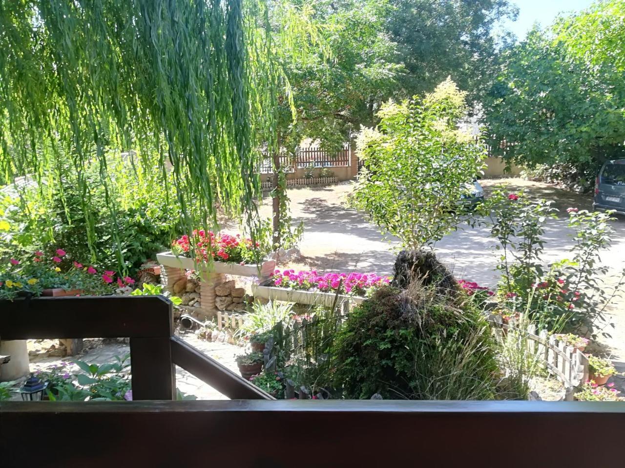 Appartement Pinos