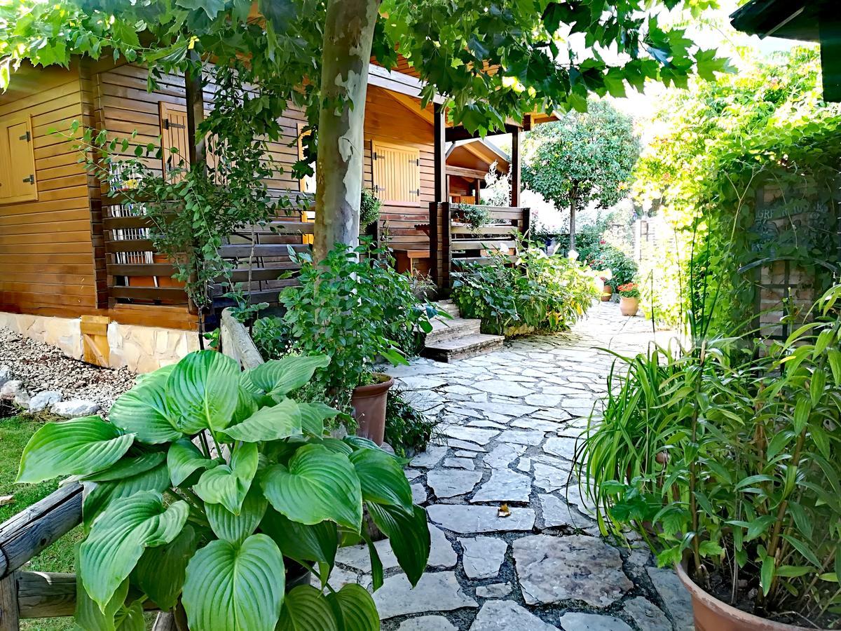 Apartment Pinos *